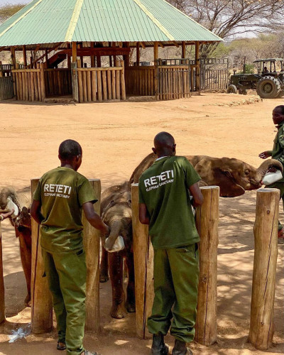 Reteti Sanctuary feeding baby elephants